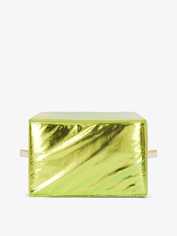 HOUSE CASE SHINY L -  Green , Home design Bensimon
