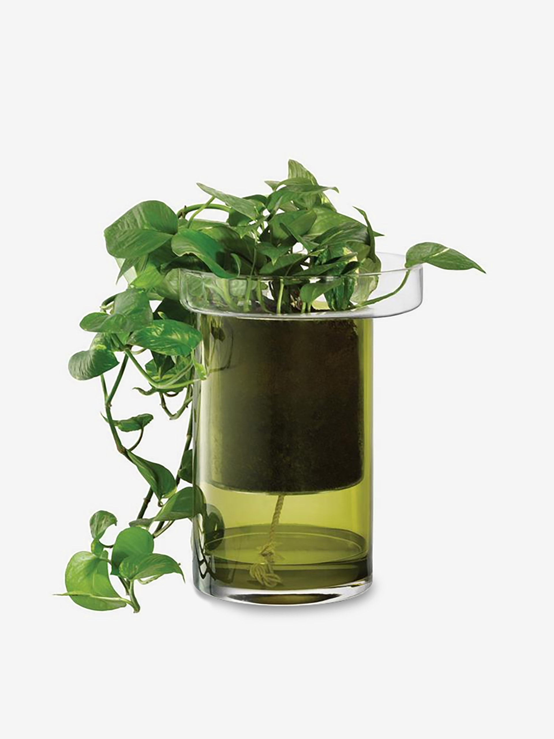 MEDIUM WATER RESERVE PLANT POT H27 D22 -  Green , Home design Bensimon