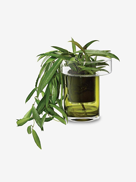 SMALL WATER RESERVE POT H35 D26 -  Green , Home design Bensimon