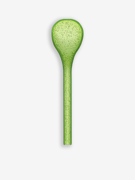 COUVERT A SALADE LIME - ZANI SERAFINO -  Green , Home design Bensimon