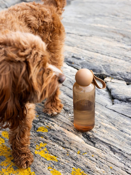 TURE WATER BOTTLE - SAGAFORMS -  Brown , Home design Bensimon
