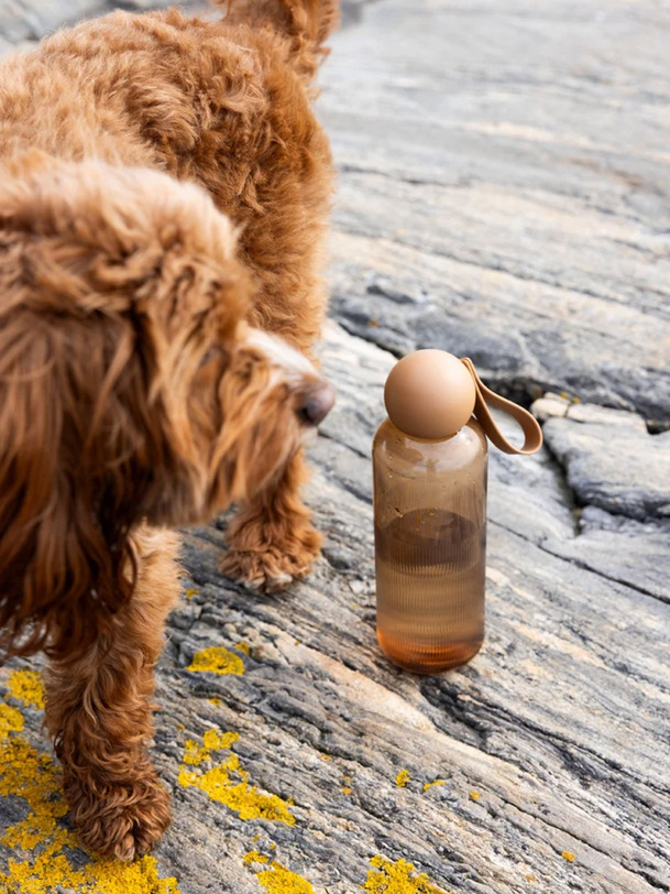 TURE WATER BOTTLE - SAGAFORMS -  Brown , Home design Bensimon
