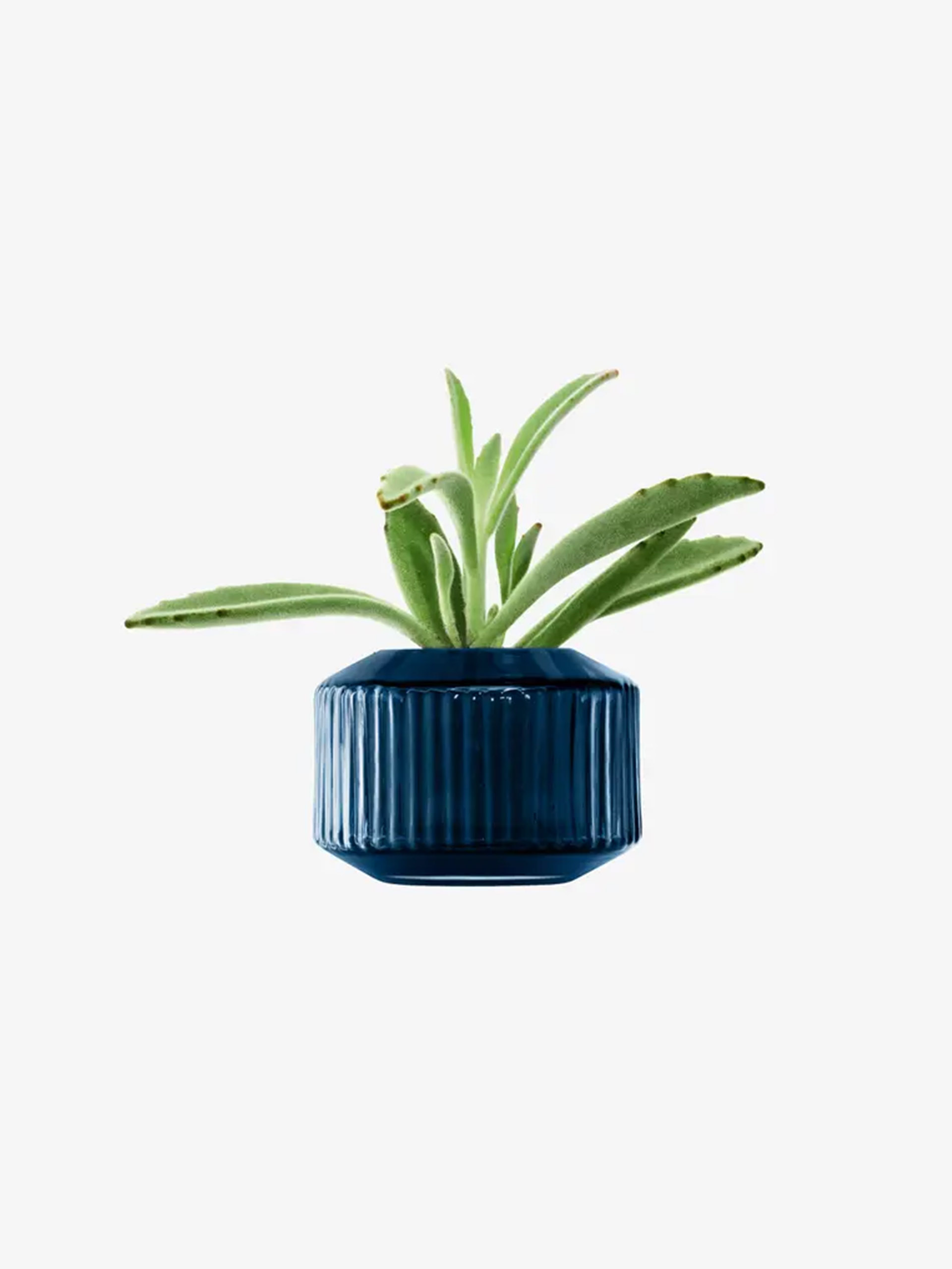 PHOTOPHORE ROTUNDA - LSA -  Grey , Home design Bensimon
